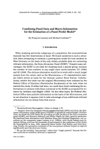 Combining Panel Data and Macro Information for the Estimation of a Panel Probit Model