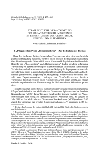 Strafrechtliche Verantwortung für organisatorische Missstände in Einrichtungen der Geburtshilfe, Pflege- und Altenheimen