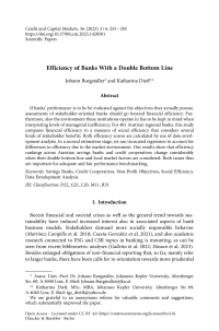 Efficiency of Banks With a Double Bottom Line