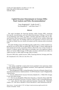 Capital Structure Determinants in German SMEs: Panel Analysis and Policy Recommendations
