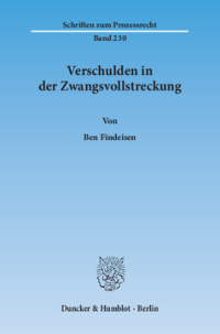 Verschulden in der Zwangsvollstreckung