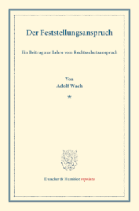 Der Feststellungsanspruch