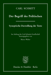 Der Begriff des Politischen