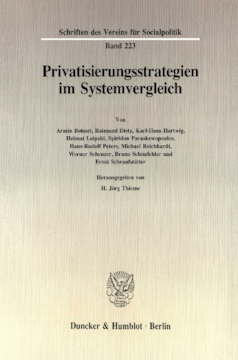 Privatisierungsstrategien im Systemvergleich