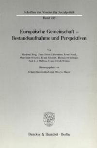 Europäische Gemeinschaft - Bestandsaufnahme und Perspektiven
