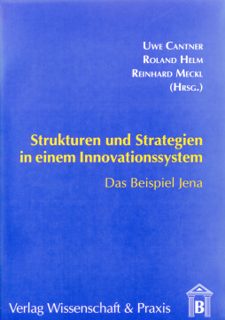 Strukturen und Strategien in einem Innovationssystem