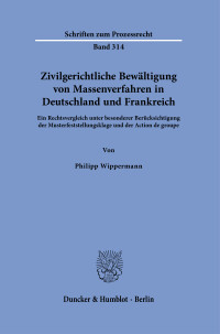 Zivilgerichtliche Bewältigung von Massenverfahren in Deutschland und Frankreich